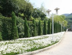 北京市大兴区天堂公墓环境位置、联系电