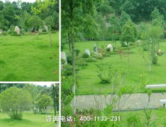 甘肃省临洮县万安园林公墓位置远吗、联