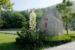 济南市福寿陵园墓地价格最低多少钱？