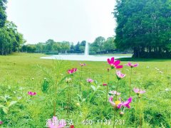 四川成都市祝国寺望山陵园位置在哪里、联系电话和墓地环境