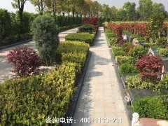上海市华夏墓园位置地址在松江区哪里？