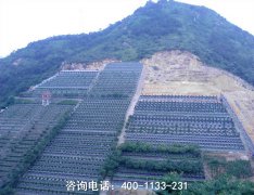 山西太原市晋源区晋祠镇天龙山公路仙居