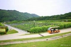 厦门市文圃山恩泽园墓地风水位置地址、