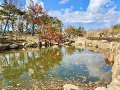 吉林长春龙凤墓园背倚宝鼎山，山环水抱