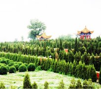 云南昆明市艺术陵园、昆明公墓、西山墓