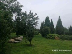 江西安义县福泰公墓风水位置地址、联系