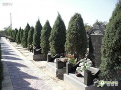 内蒙古呼和浩特古林人文纪念园墓地最低
