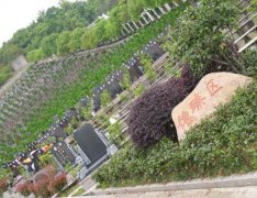 上海嘉定区华亭息园陵园华亭镇公墓最低价格、风水怎样、联系电话是多少