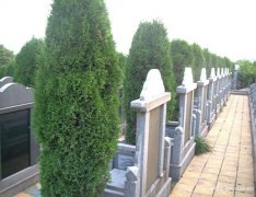 上海松江区华夏公墓、华夏陵园、华夏墓园、华夏墓地价格电话位置小昆山镇