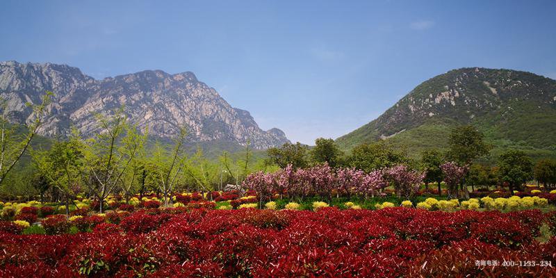 河南郑州市登封市莲花山人文纪念公园（莲花山陵园）