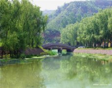 河南鹤壁市宠物殡葬,鹤壁宠物火化,鹤壁宠物墓地,狗狗猫咪安乐墓地