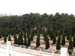 河北保定市常青文化墓园陵园墓地的位置
