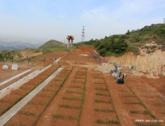 河南焦作市殡葬一条龙、鲜花、花圈、墓地咨询,焦作陵园殡仪服务