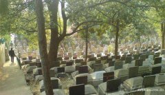 河北沧州市青县周边有什么陵园公墓？墓