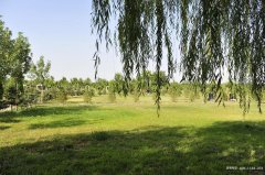 银川福寿园公墓墓地位置地址、联系电话和植物园骨灰葬陵园价格是多少