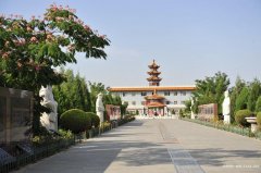 银川松鹤墓园、银川市植物园陵园墓地的位置地址、电话、价格都是多少？