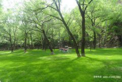 南京市龙泉山陵园位置地址在栖霞区哪里