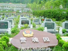 重庆市南山龙园公墓墓地价格最便宜多少钱？