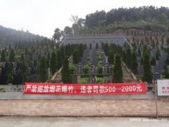 重庆市金山陵园墓地价格最便宜多少钱？