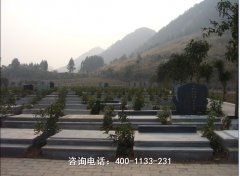 广东佛山宝鸭山墓园风水怎么样、位置地址在哪儿、电话和高明区陵墓价格