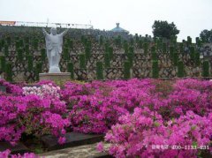 福州十大公墓排行榜 福州风水好的陵园墓地，福州有那些公墓,在哪里?