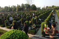 上海奉贤区公墓大全—金山区各家陵园位置地址、电话、价格、风水？