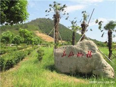 上海奉贤区有哪几个陵园？周边一个墓地多少钱？金山区公墓价格一览表？