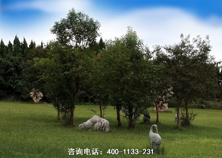 辽宁省葫芦岛市南山生态墓园