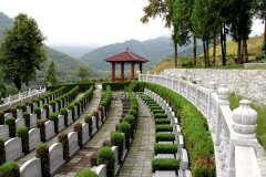 上海奉贤区环境好的公墓？墓地价格收费标准？金山区陵园排行榜？