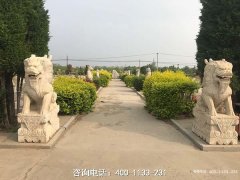 青县墓地价格 - 青县周边陵园公墓 - 河北