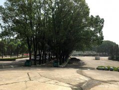 湖北荆门市东宝区公墓 东宝区墓地陵园哪