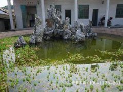 宁波市河头狮子山墓地风水位置地址、联