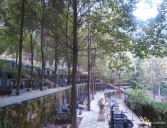 贵州黔南州惠水县墓地价格_惠水县公墓大