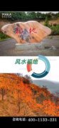 甘肃庆阳市华池县公墓_华池县墓地_华池